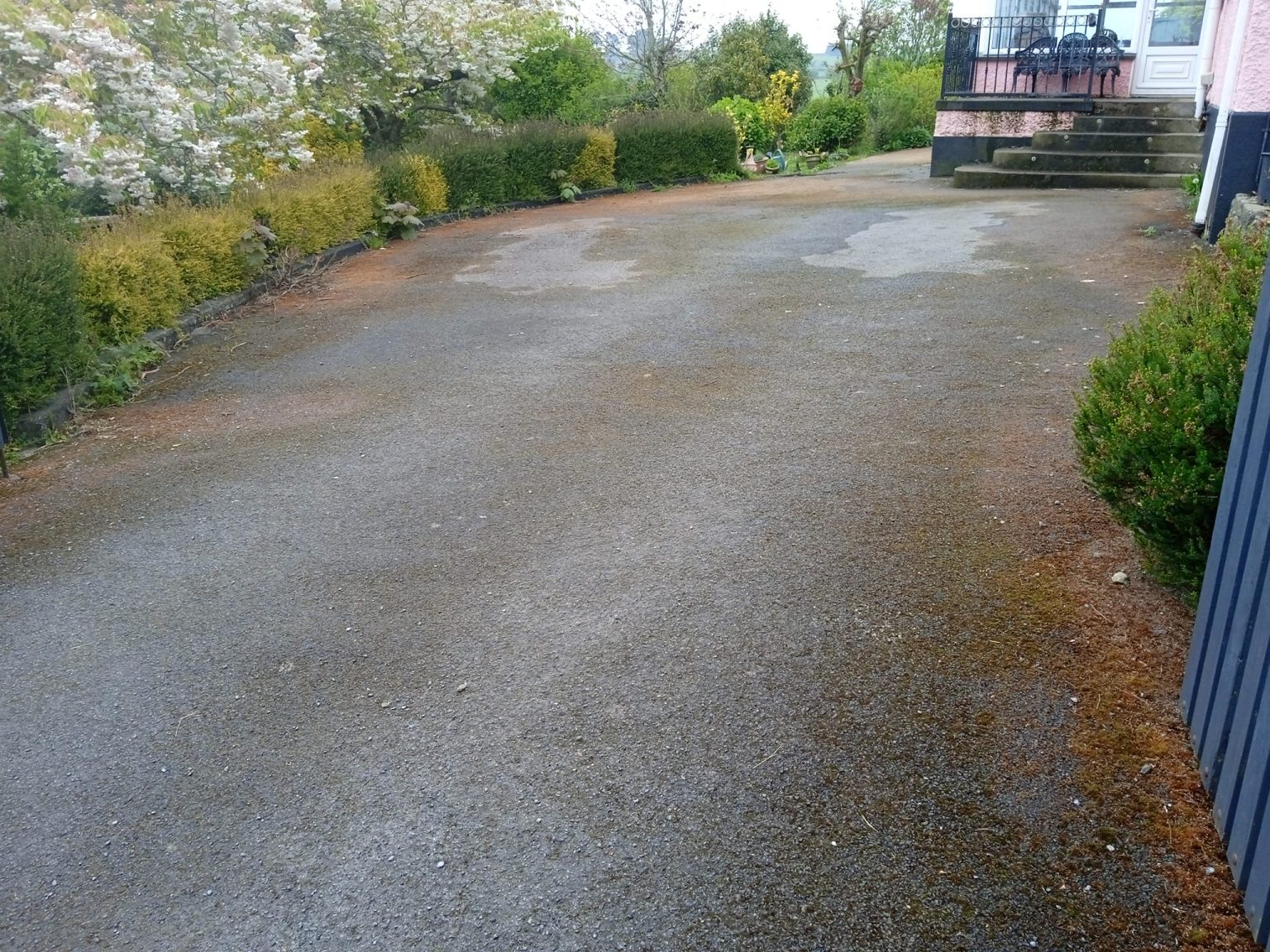 Before Driveway Cleaning