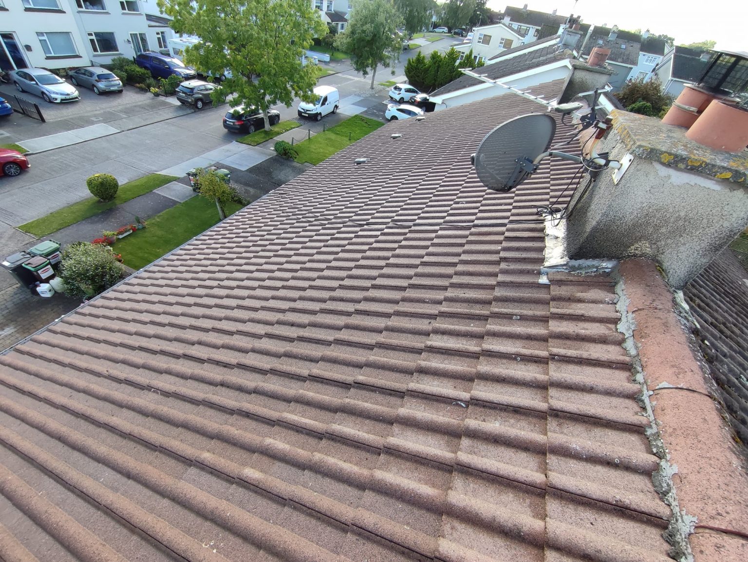 After Roof Cleaning