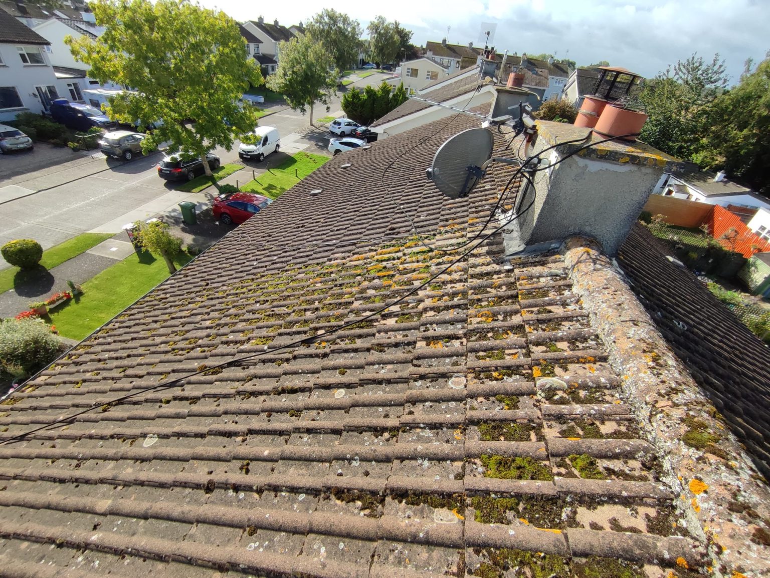 Before Roof Cleaning