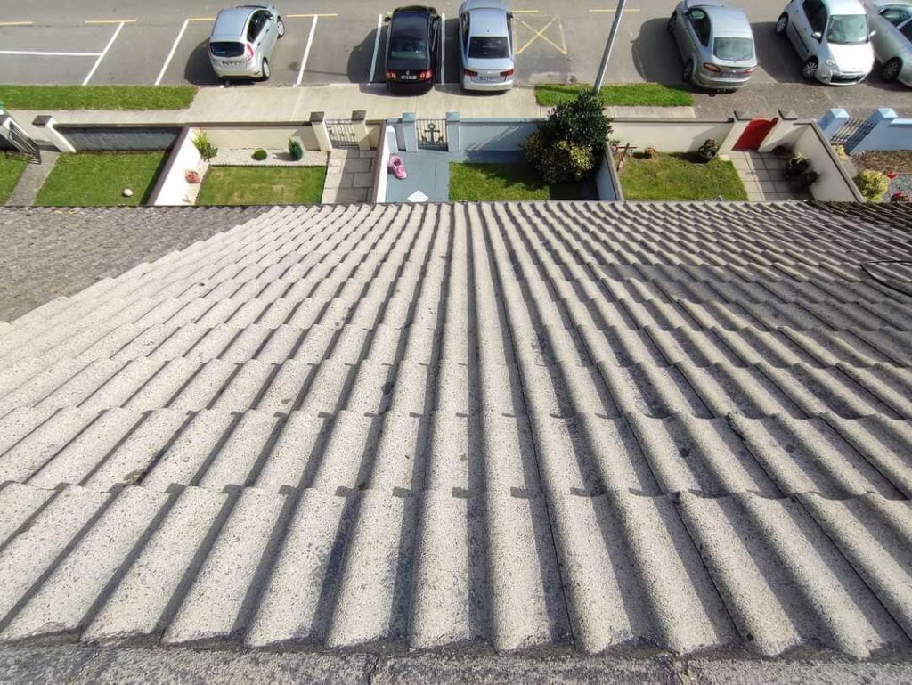 Roof Cleaning Services