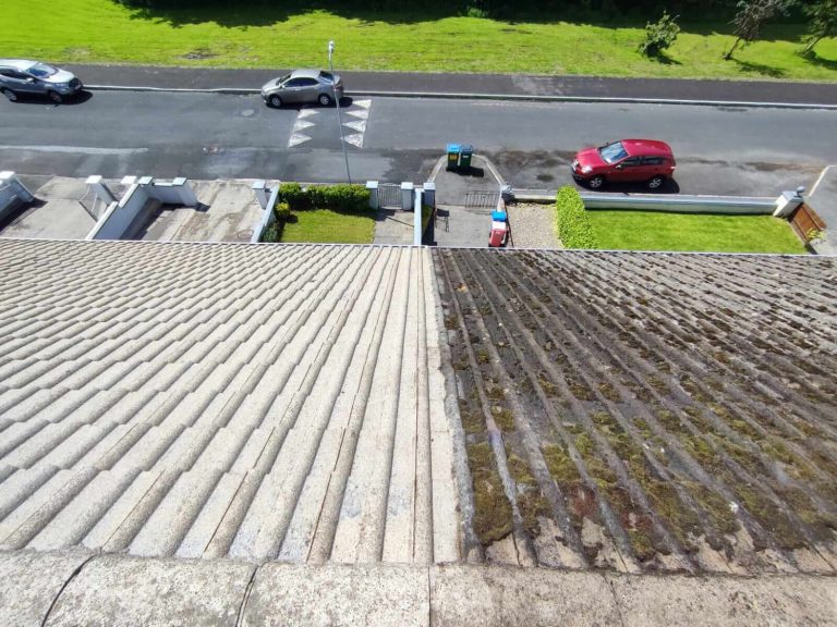 Roof Cleaning Before & After