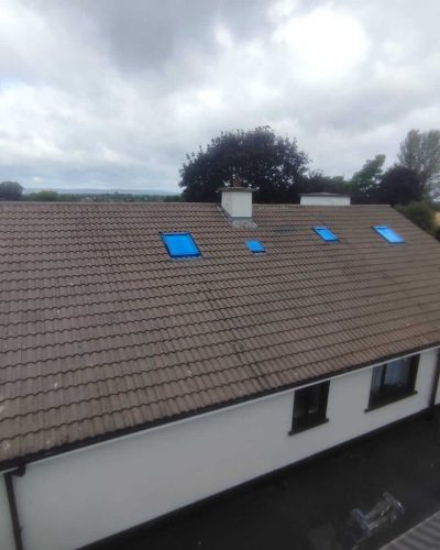 Roof Cleaning & Painting