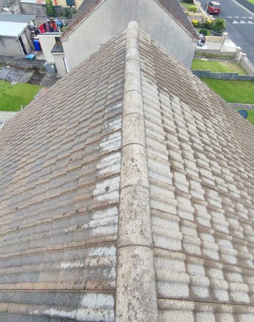 Roof Cleaning Before & After